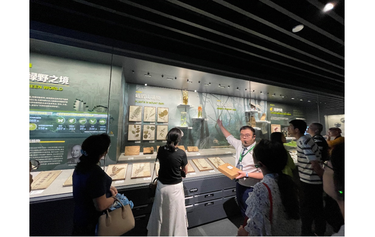 1694165145158057.png image.png